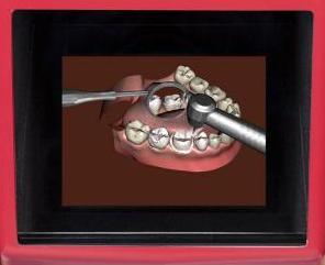 обучение студентов-стоматологов